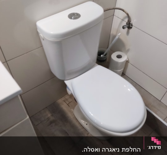 אסלה עם מברשת ניקוי ונייר טואלט